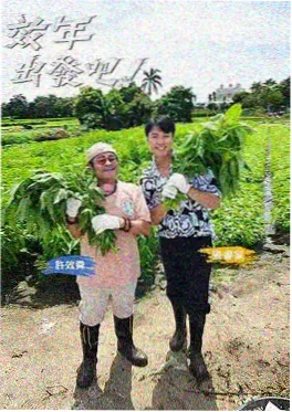 石榴影视手作综艺旧物新生